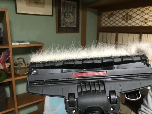 整理整頓で清潔な環境_f0054677_09254316.jpeg
