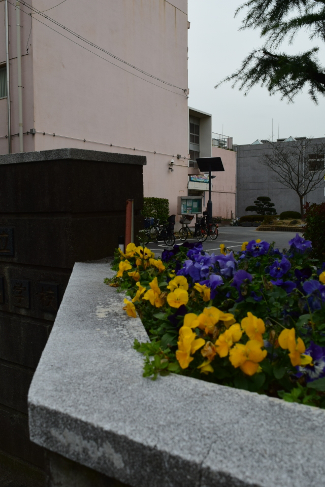 埼玉県戸田市立戸田第二小学校(建築家・関根要太郎作品研究)_f0142606_16354069.jpg