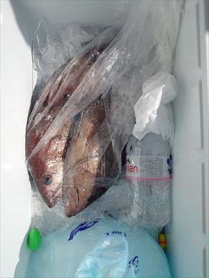 根魚狙い_f0031613_17284734.jpg