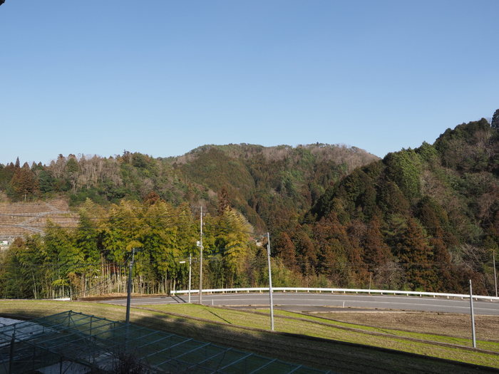 午後は晴れた_c0116915_22351615.jpg