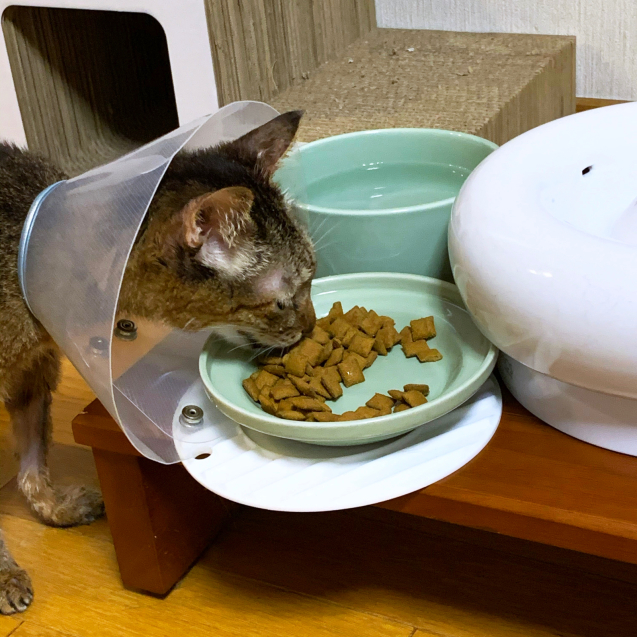 回復のきざし!_d0355333_23012829.jpg