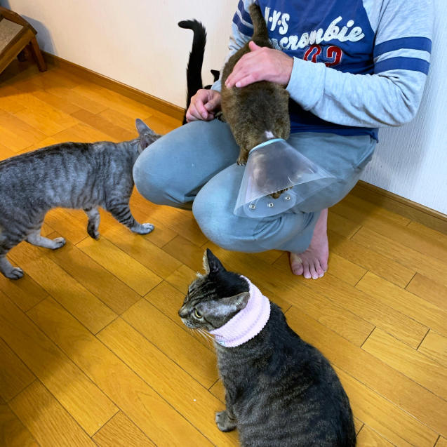 回復のきざし!_d0355333_23013108.jpg