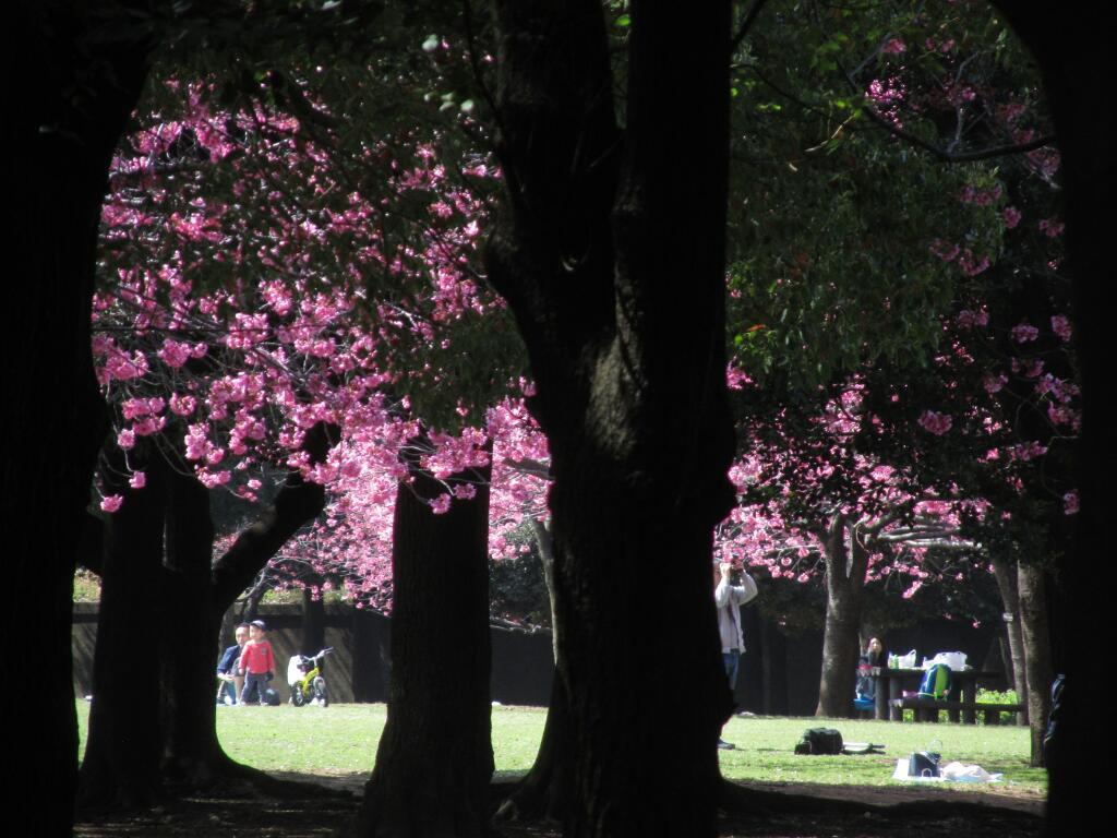 岸根公園と周辺の旅 2 神奈川徒歩々旅