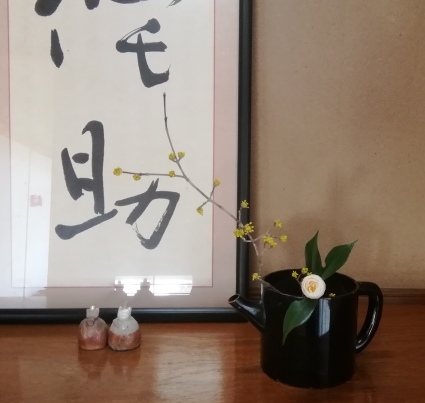 猫雛…_b0368362_05270558.jpg