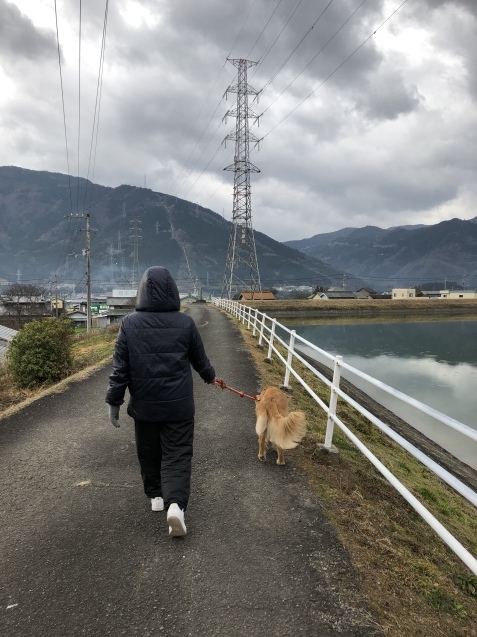 大阪again_a0394574_12242284.jpeg