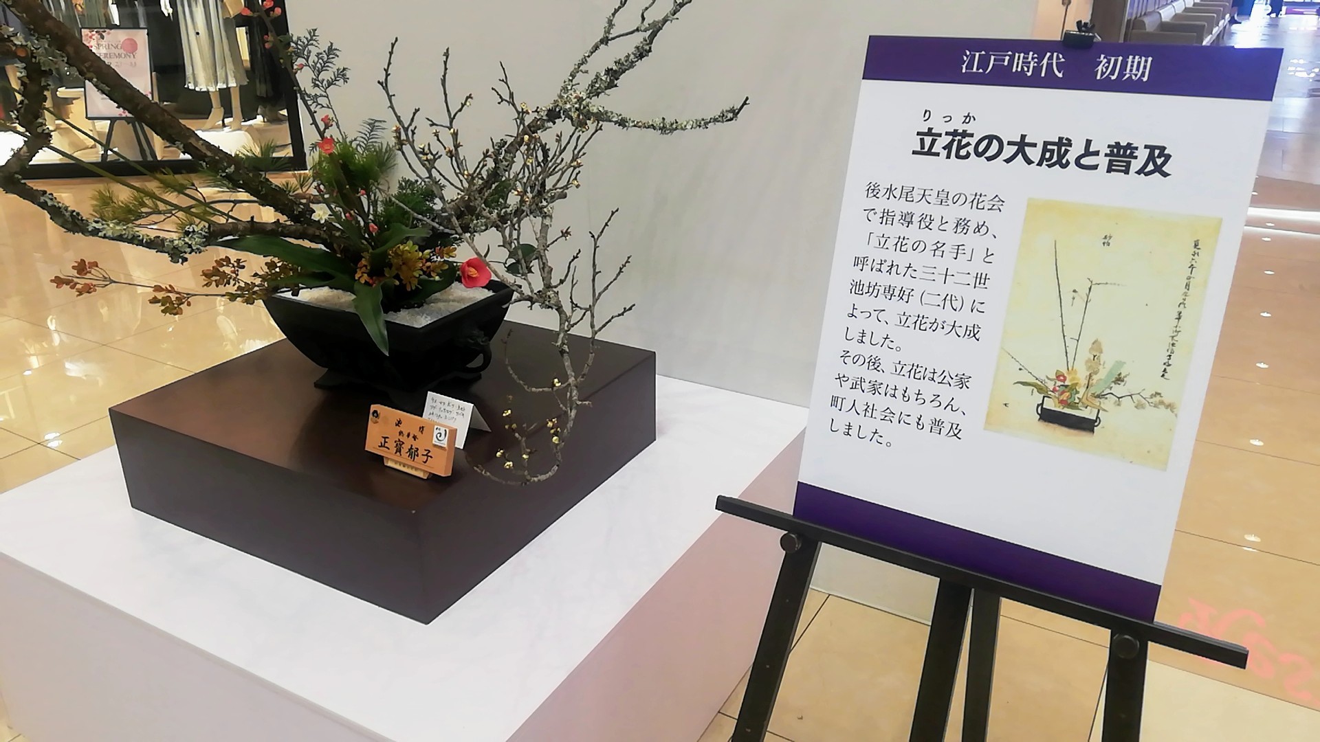 ゆめタウン佐賀開催の池坊展へ_d0195183_20122964.jpg