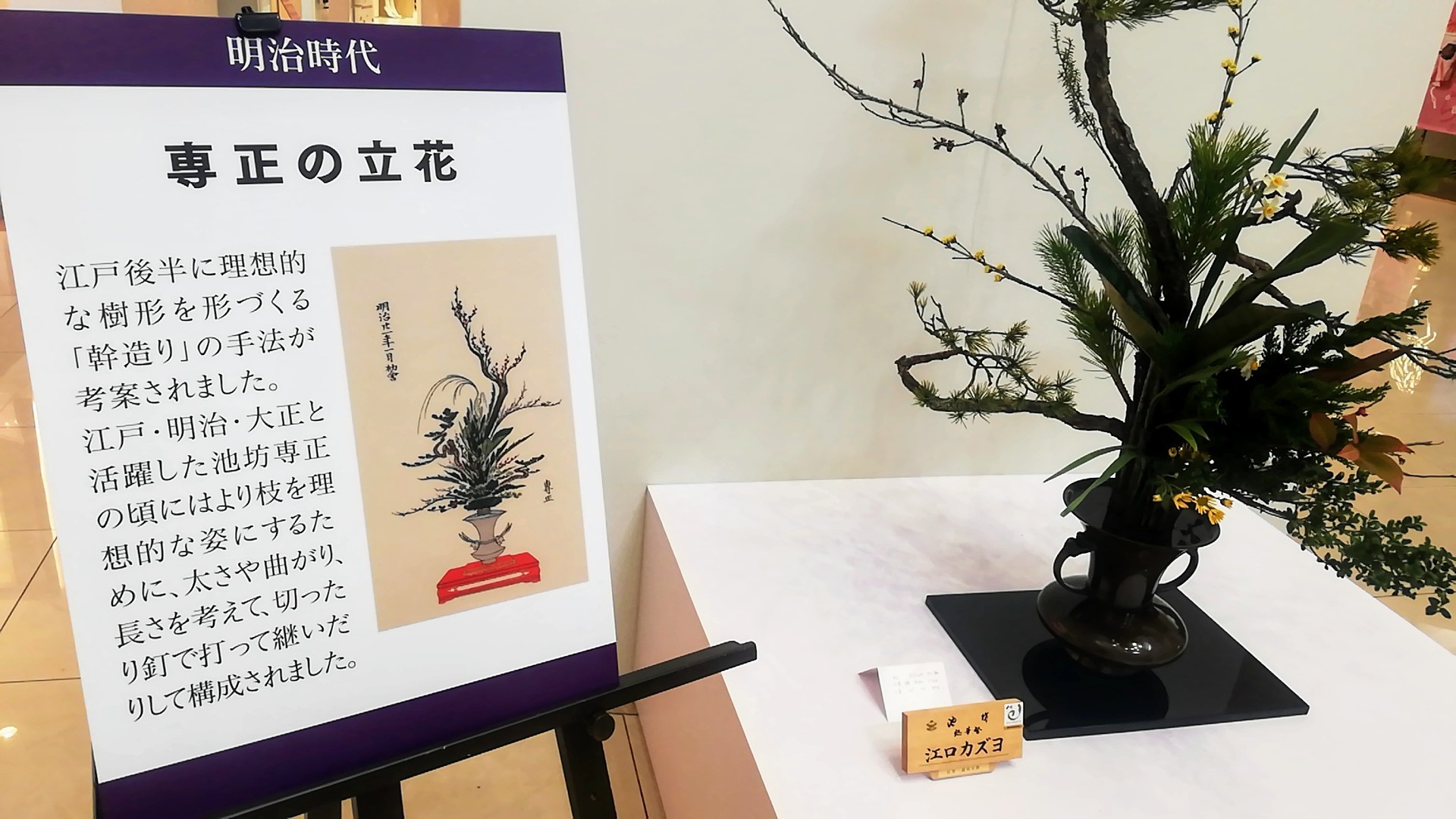ゆめタウン佐賀開催の池坊展へ_d0195183_20124954.jpg