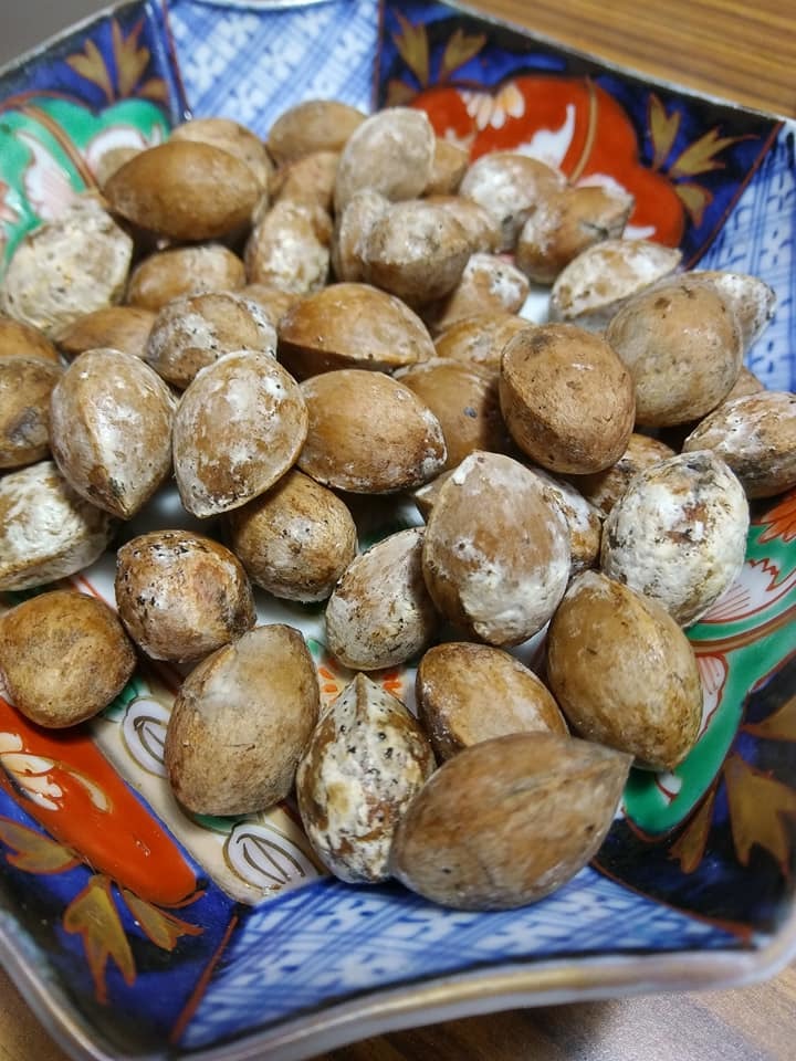 カビの生えた銀杏 はたして食用に耐えるか 立ち呑み漂流 カビの生えた銀杏 はたして食用に耐えるか 立ち呑み漂流