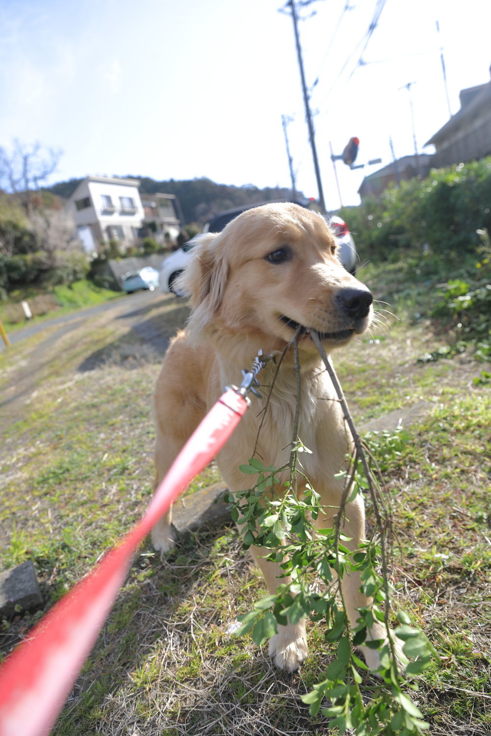 お宝の山♪_b0275998_09403735.jpg