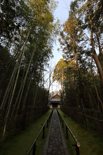 京の冬の旅2020 －大徳寺・高桐院（前編）－_b0169330_21261570.jpg