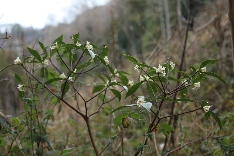 考えることは一緒？_e0304170_18271930.jpg