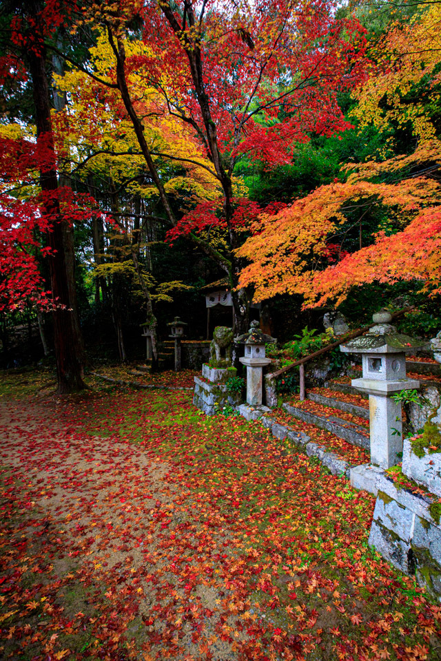 紅葉2019！　　～護法堂弁財天～_b0128581_19525979.jpg