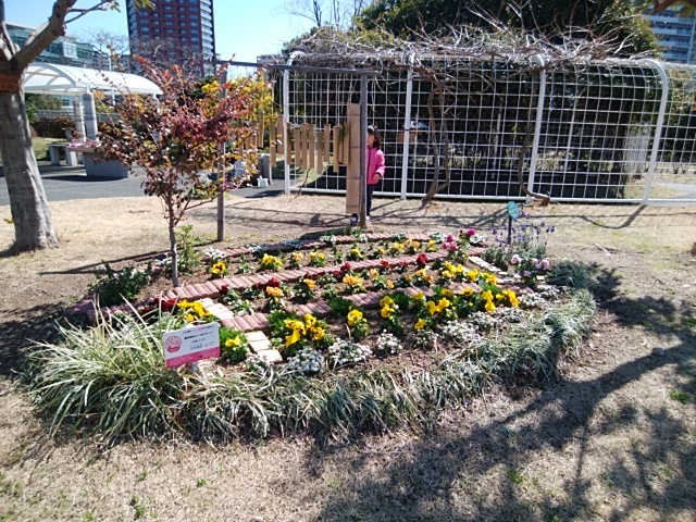 テーマのある花壇 園芸福祉 病院の庭 テーマのある花壇 園芸福祉 病院の庭