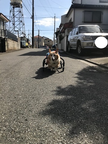 暖冬のおかげで。。_f0242002_19381736.jpg