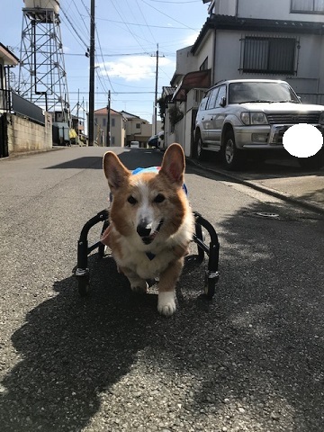 暖冬のおかげで。。_f0242002_19382824.jpg