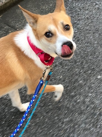 暖冬のおかげで。。_f0242002_19424083.jpg