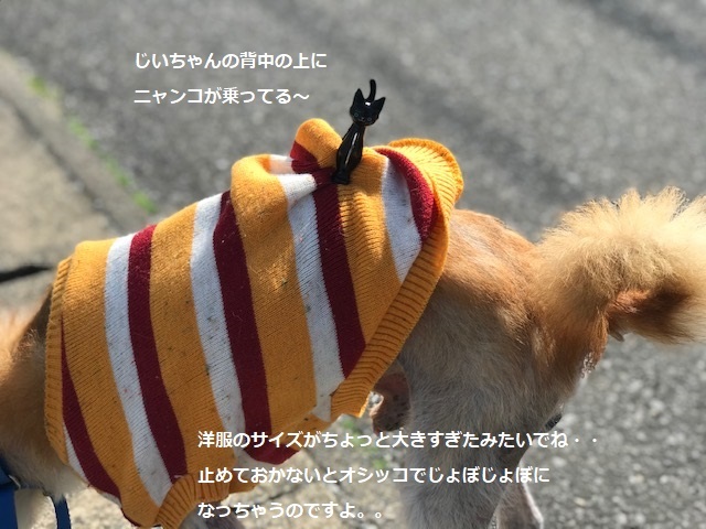 暖冬のおかげで。。_f0242002_19463897.jpg