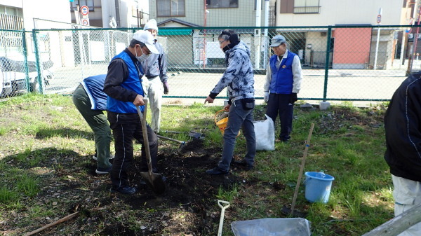和歌浦忠魂碑 蜂須賀桜・乙女桜の植樹_c0367107_15220678.jpg