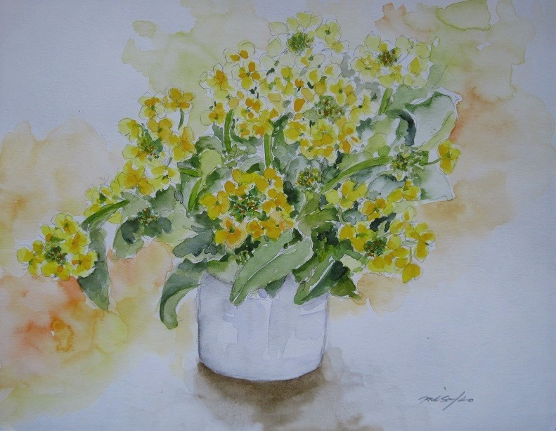 菜の花 : 水彩画Misako花のパレット