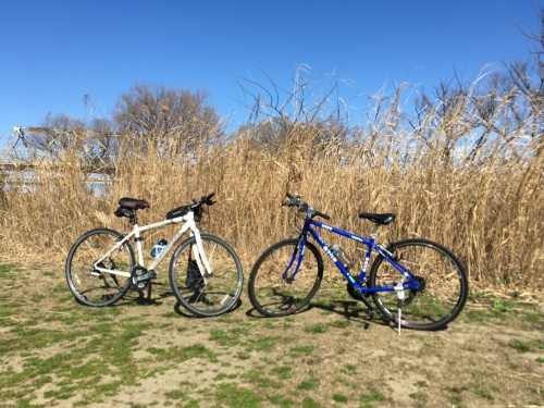 自転車デイキャンプin三郷＊ : ＊outdoor日記＊