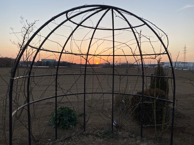 花は嘆かず_d0130714_18481622.jpg