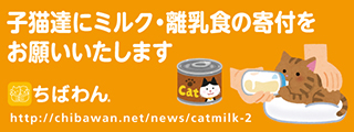 _f0078320_11054966.png
