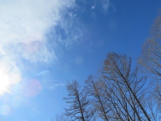 青空が広がり、暖かい一日が過ぎます_b0405523_01471374.jpg