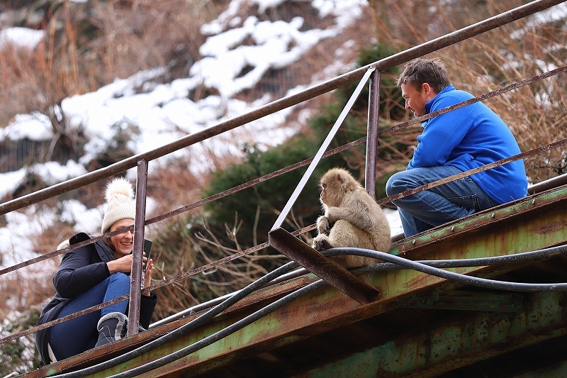 【地獄谷野猿公苑（２）】長野日帰り旅 - 2 -_f0348831_21372435.jpg