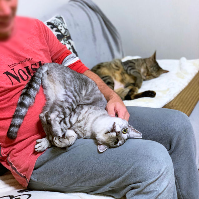 大丈夫ですよ。_d0355333_23122189.jpg