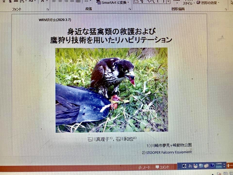 【(延期) 野生動物救護獣医師協会・講習会開催のご案内】_c0132048_15094043.jpeg