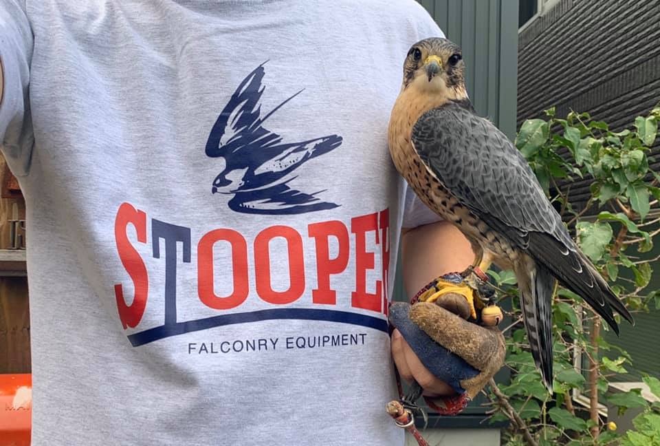 STOOPER フライトフェスタ2020 出展告知_c0132048_22060204.jpeg