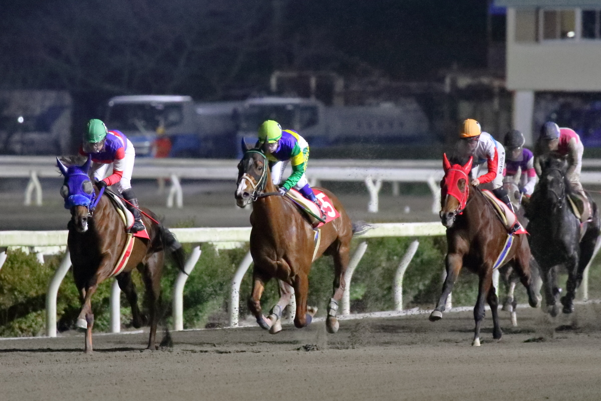 レディスヴィクトリーラウンド2020 高知 第2戦 その1_a0077663_13030461.jpg