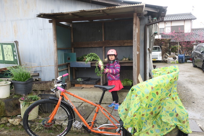 ホトケノザ_e0149587_05223836.jpeg