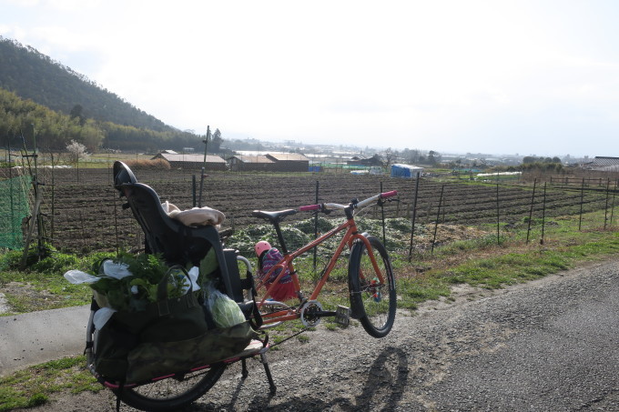 ホトケノザ_e0149587_05265832.jpeg