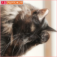 晴天と猫_a0389088_19425367.jpg