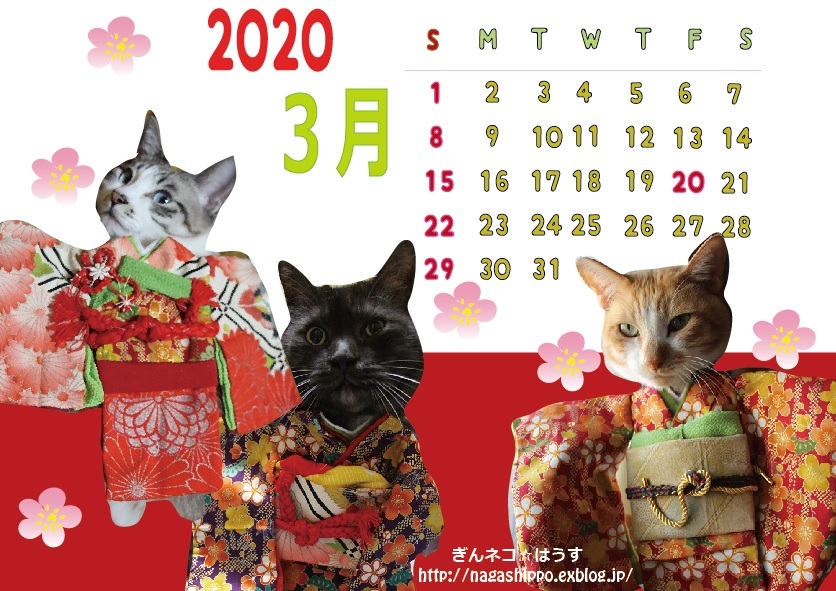 ぎんネコ☆はうすオリジナルねこカレンダー3月_a0333195_16442595.jpg