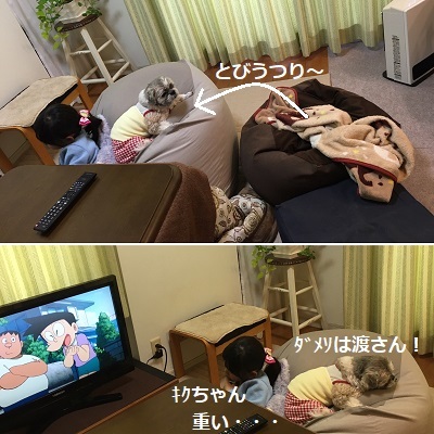 小豆姫の襲撃とリメイクスカート♪_f0372998_22291541.jpg