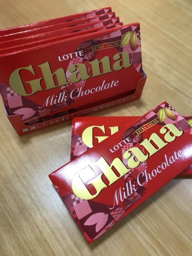 チョコとネコヤナギ☺️_f0206213_20532093.jpeg