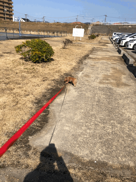 朝からルー_e0105035_00312595.gif