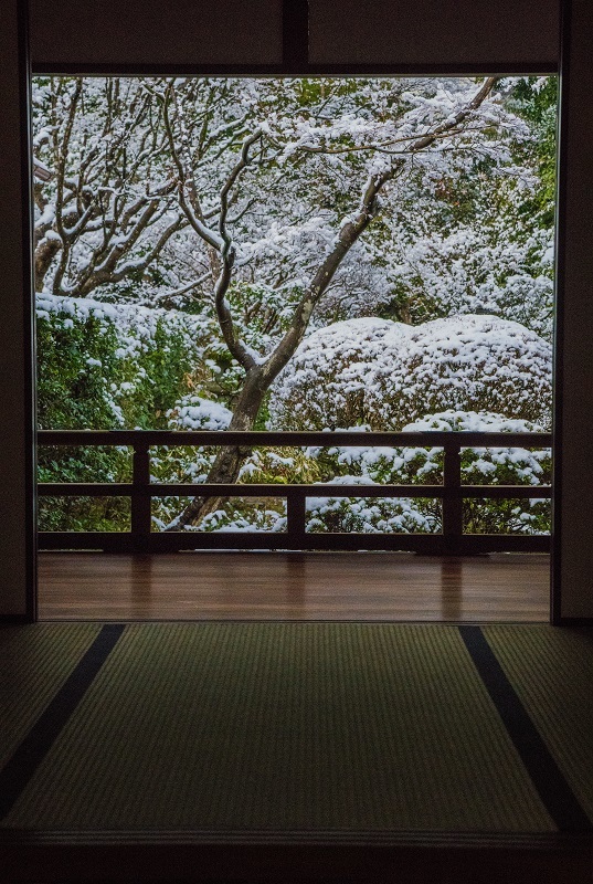 高桐院の雪景色_e0363038_13420605.jpg