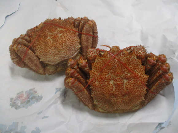 知人がコロナウィルス肺炎に・・・&美味しかった毛ガニ_a0279743_10403922.jpg