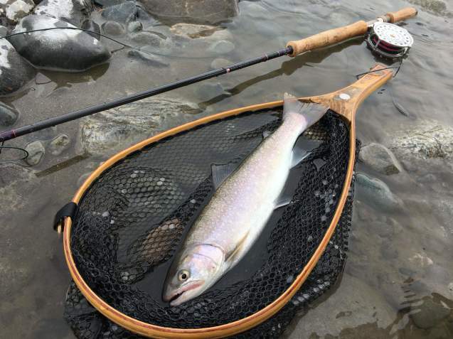 2020年犀川、天竜川解禁釣行_e0343445_21592318.jpeg