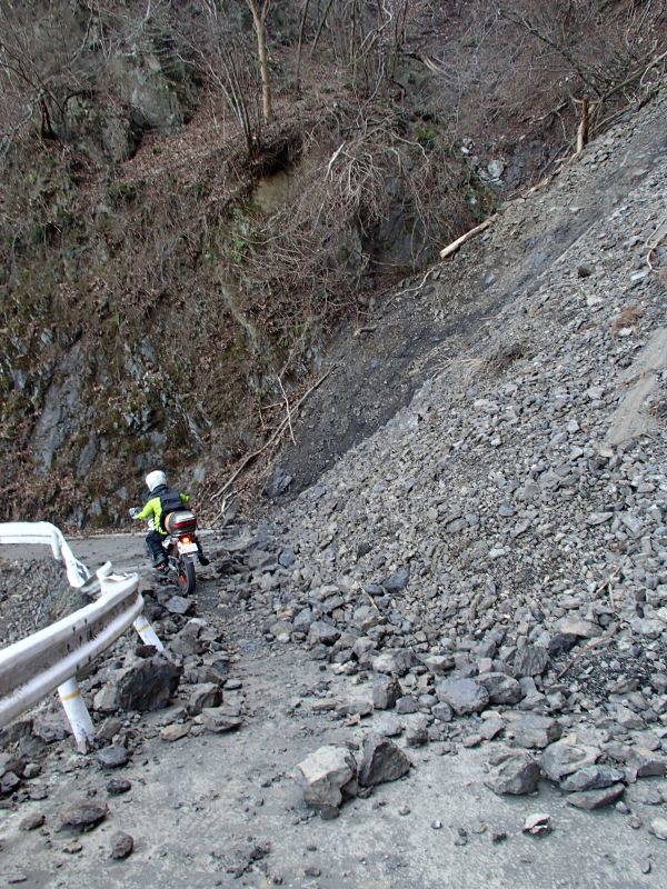 檜原村方面の林道現地調査_f0119755_16365401.jpg