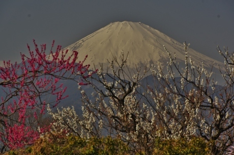 最新富士山の撮影記録_d0229560_11023162.jpg