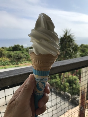 Go Go East!_c0153966_20575967.jpeg