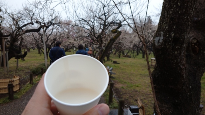 水戸大洗散策記　1. 偕楽園で観梅_c0002171_21074743.jpg