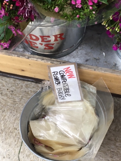 水仙とチューリップで春を楽しむ_e0350971_13070309.jpg