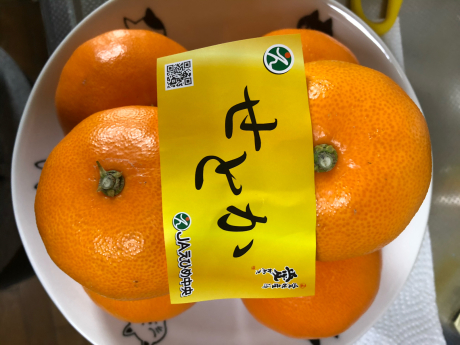 満点満足_e0355177_14353843.jpg
