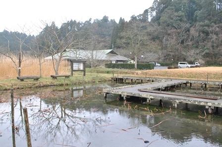 水辺のいきもの_a0123836_16051600.jpg