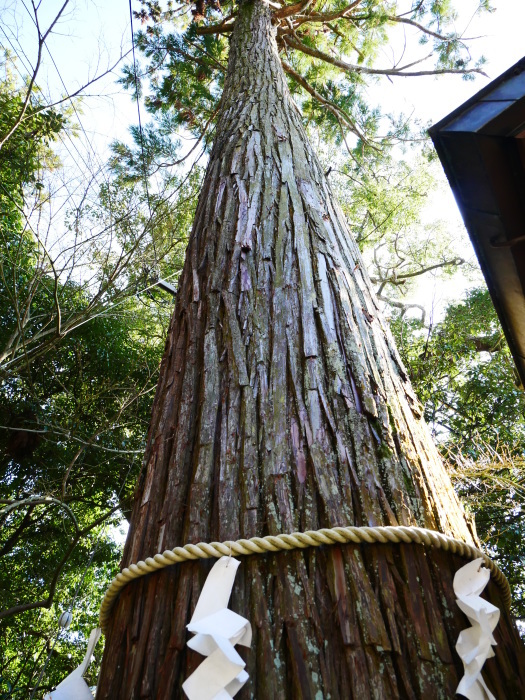 　　頭の神　宇賀部神社　　２０２０-０２-２９　００：００_b0093754_22484214.jpg